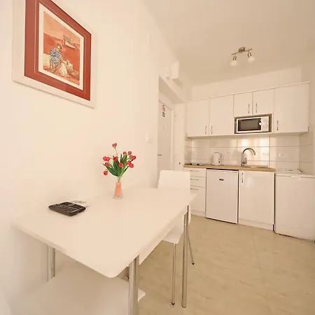 City Studio Laurana